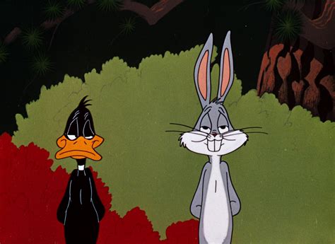 Pin by Shelbs on LOONEY TUNES | Looney tunes characters, Rabbit season ...