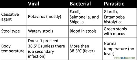 Infectious Diarrhea Causes, Prevention, & Treatment [Infographic]