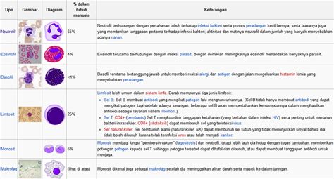 Alam Mengembang Jadi Guru: Sel-Sel Darah Putih