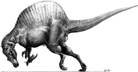 Spinosauridae | Paleontology Wiki | FANDOM powered by Wikia