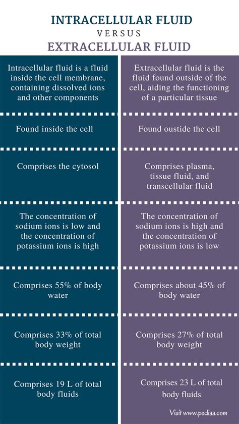 Difference Between Intracellular and Extracellular Fluid | Definition ...