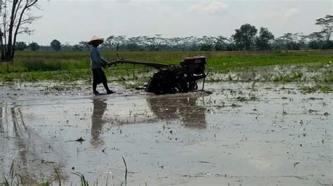 Traktor sawah Medan dalam - YouTube