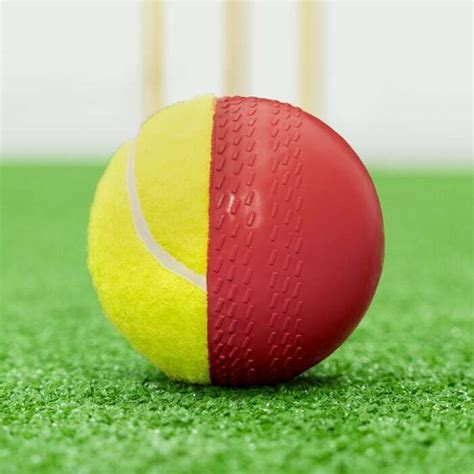 FORTRESS Cricket Swing Balls | Net World Sports