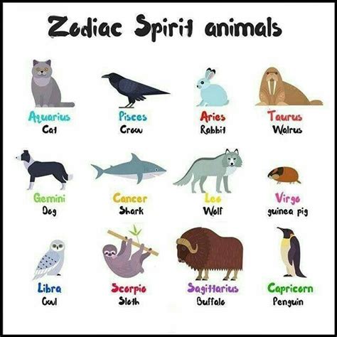 an animal chart with different types of animals and their names in english, spanish, and german