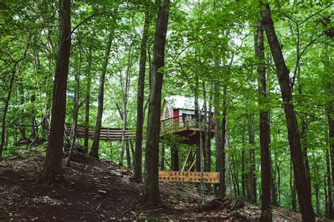 Inspiring Tree Houses, in Collaboration With Glamping Hub