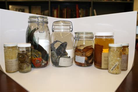 Preserving museum specimens