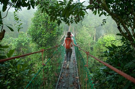 Interesting Places In Malaysia: Danum Valley Conservation Area|Sabah|Malaysia