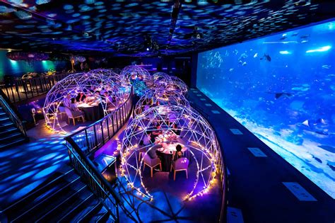 Singapore Underwater World Aquarium