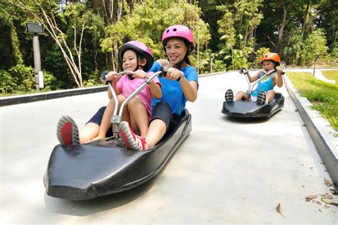 Skyline Luge and Skyride Sentosa Tickets | Singapore - KKday