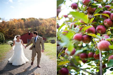 Apple Orchard Wedding Ideas