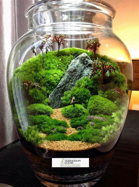 Terrarium Ideas, Bring A Miniature Natural Scene in A Glass Container ...