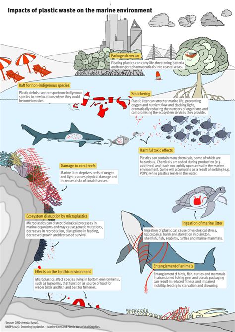 Plastics and Biodiversity | Plastics and the Environment Series ...