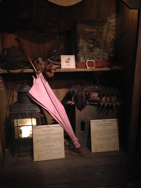 Hagrid's umbrella Harry Potter Expo, Harry Potter Exhibition, Harry ...