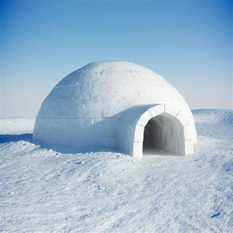 igloo snow 3d model | Images de paysages d'hiver, Art à thème carlins, Belle photo