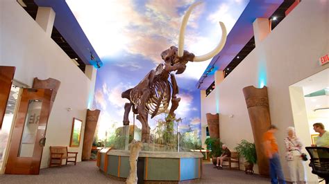 South Florida Museum in Sarasota, Florida | Expedia