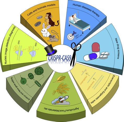 Advancements and Obstacles of CRISPR-Cas9 Technology in Translational ...