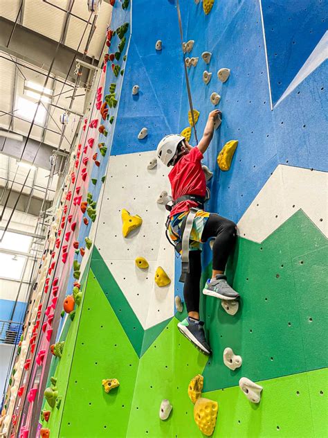 All You Need To Know About Indoor Rock Climbing for Kids