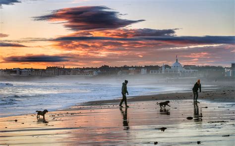 England’s best beaches revealed with Blue Flag awards | Shropshire Star