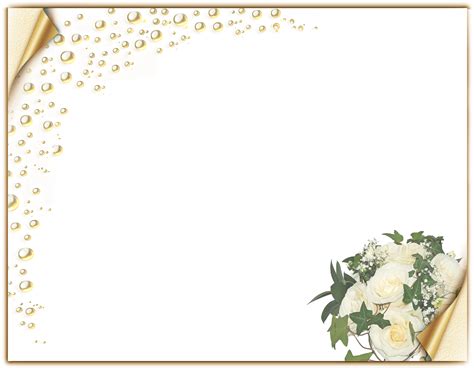 White Roses Border Frame PNG | White roses, Frame, Rose