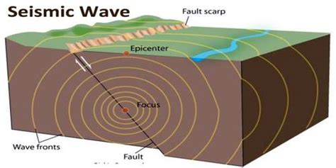 5 Surface Waves Examples in Real Life – StudiousGuy