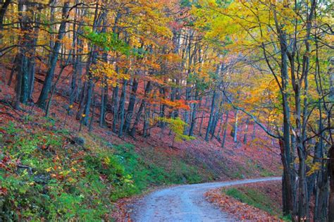 Scenic drive stock image. Image of leaf, fall, banner - 33400851