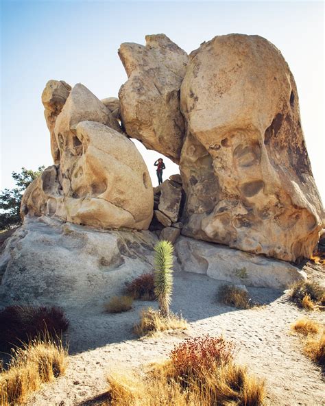 Top 8 Rock Formations - Joshua Tree National Park — Flying Dawn Marie | Travel blog, guides ...