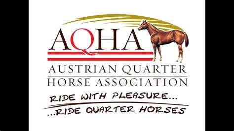 American Quarter Horse Association – the Complete Guide - Todays Equine