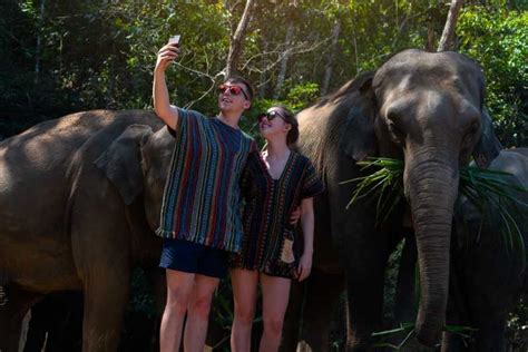 Phuket: Ethical Elephant Sanctuary Interactive Tour | GetYourGuide