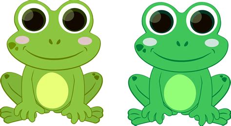 Frog Green Toad · Free vector graphic on Pixabay