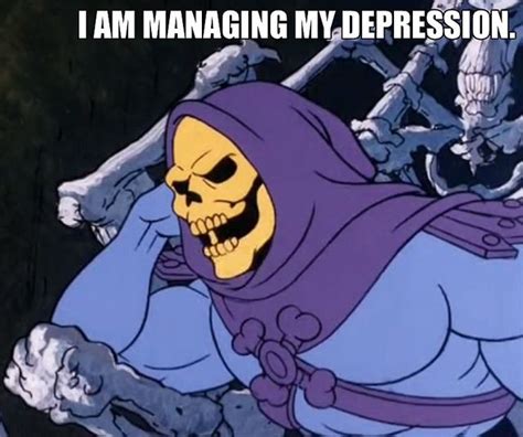 Skeletor Affirmations | Skeletor quotes, Skeletor, Memes