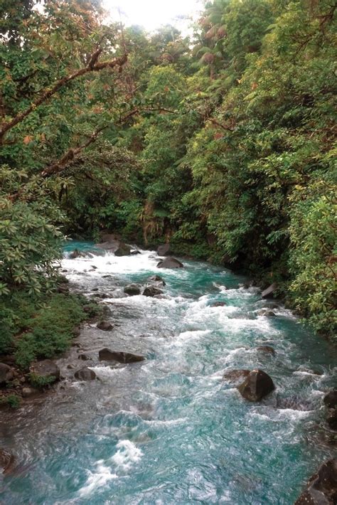 Your Guide to Tenorio Volcano National Park in Costa Rica - Be My Travel Muse