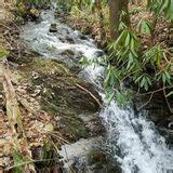 Elkmont Nature Trail - Tennessee | AllTrails