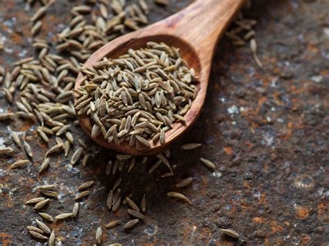 Cumin Herb Information - What Is Cumin Used For