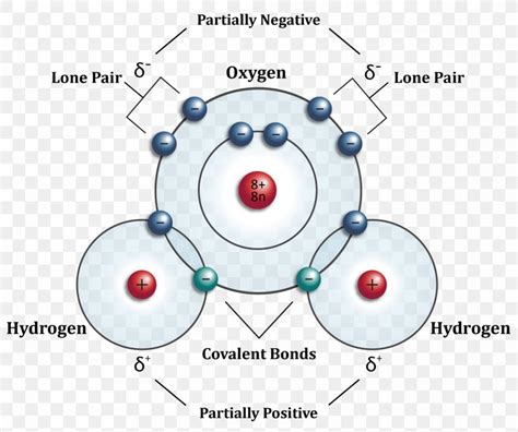 Hydrogen Atom Water Molecule Molecular Orbital Diagram, PNG ...