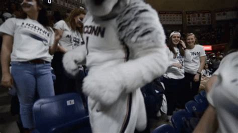 Uconn Huskies Jonathan GIF - Uconn Huskies Jonathan Mascot - Discover & Share GIFs