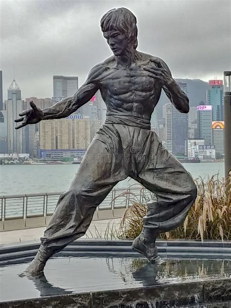 The Bruce Lee Statue on the Avenue of Stars Overlooking Victoria ...