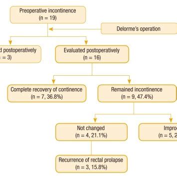 Characteristics of patients undergoing the Delorme's procedure (n = 19) | Download Scientific ...