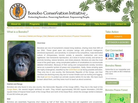 Bonobo Conservation Initiative: What Is a Bonobo? Handout for 9th ...