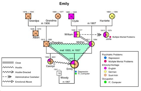 Family Genogram Example | Template Business