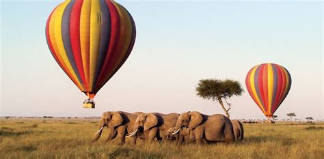 Hot Air Balloon Safaris in Masai Mara , Amboseli & Serengeti