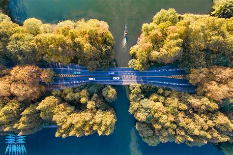 Hangzhou's West Lake turns golden in late autumn - CGTN