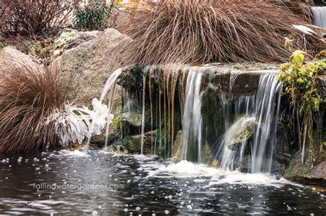 Pond and Fish Care During Freezing Weather - Falling Water Designs