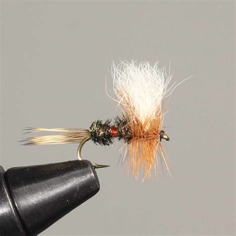 15 Best Flies for Rainbow Trout (with videos to setup) - Guide Recommended