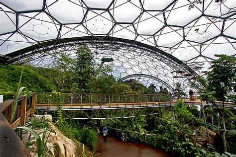 PHOTO: Canopy Walkway in Rainforest Biome at Eden Project