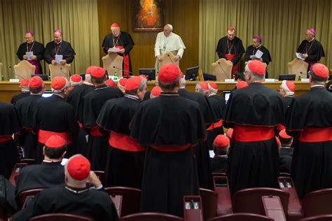 Why This August’s Extraordinary Consistory of Cardinals is Significant| National Catholic Register