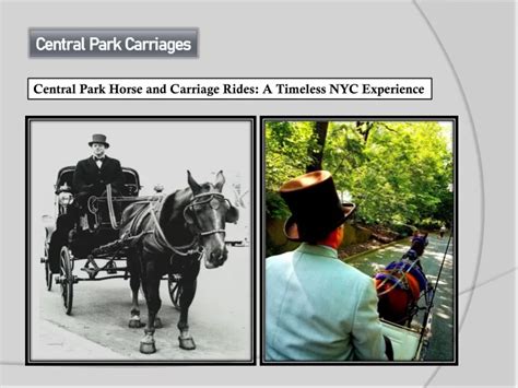 PPT - Central Park Horse and Carriage Rides A Timeless NYC Experience ...