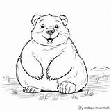 Gopher Coloring Pages  Free & Printable sketch template