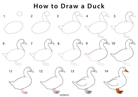 How to Draw a Duck (Step by Pictures)