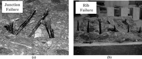 Different failure modes for geogrids: (a) Grid A failed at ribs; (b ...