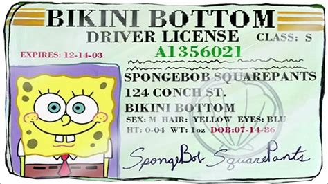 spongebobs driver license for 1 minute and 40 seconds - YouTube